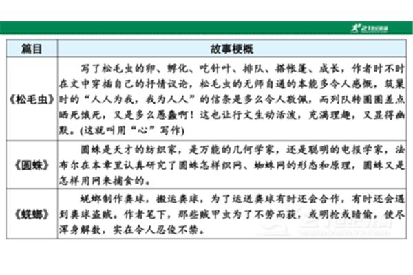 昆虫记梗概