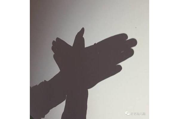 手指影子模仿动物