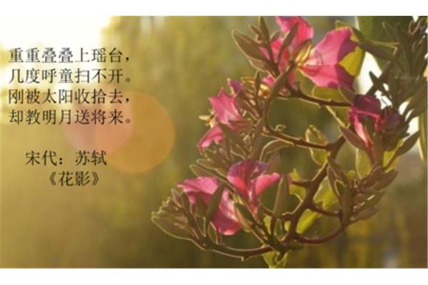 描写太阳的诗句
