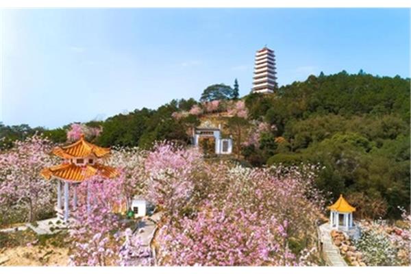 何仙姑景区