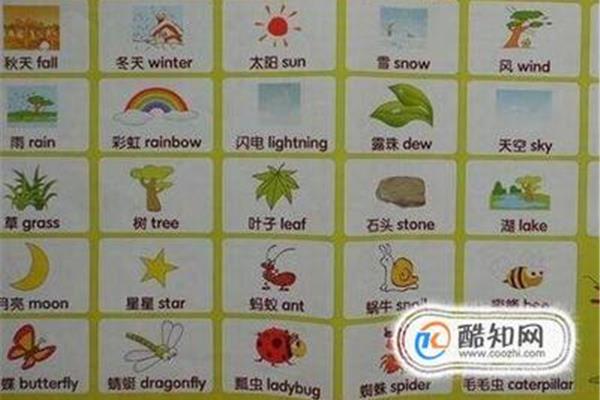 雪的英语单词