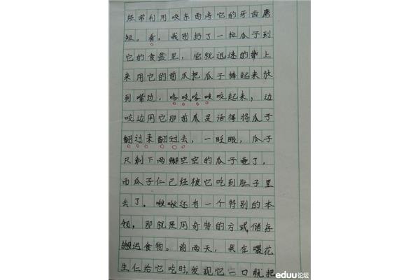 小仓鼠作文