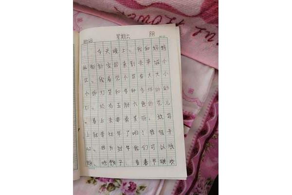 20字日记