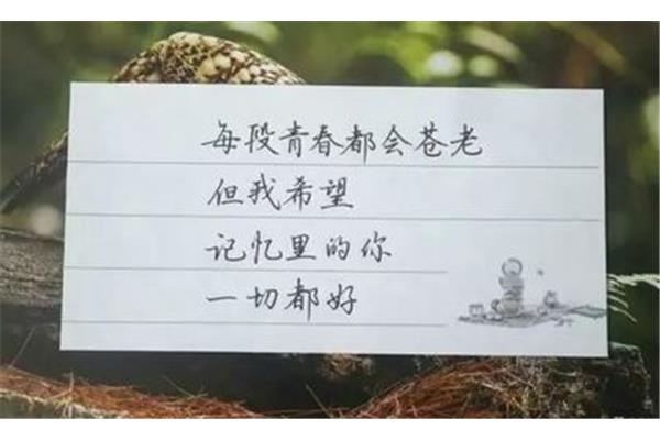 怀念青春的句子