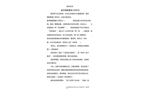 对新学期的展望