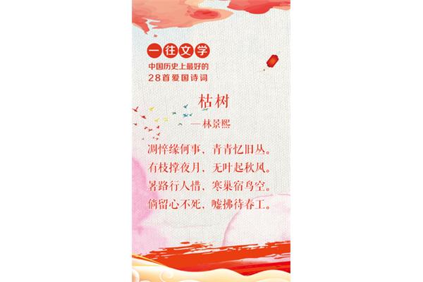 爱国情怀诗句