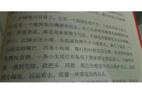 关于风景的词语