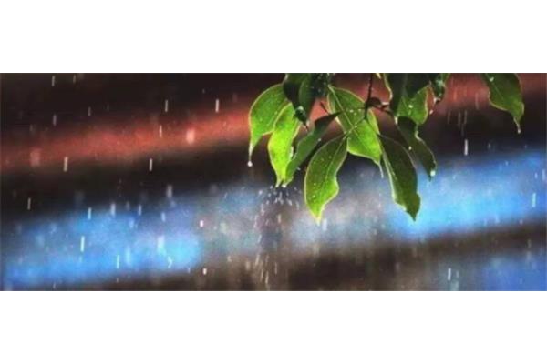 描写秋雨的诗句