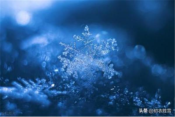 有雪的诗句