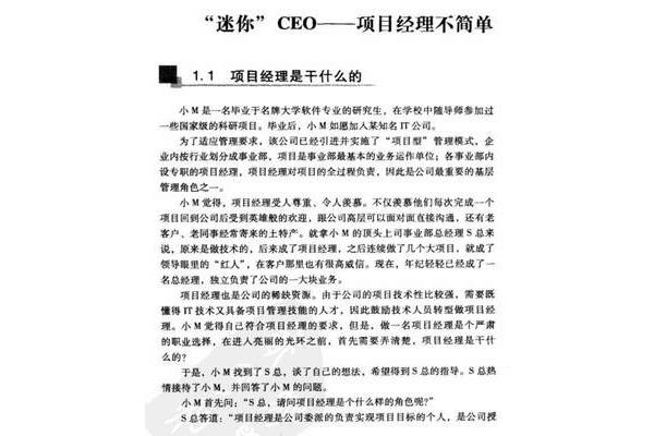 IT项目经理