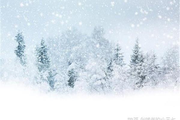 有雪的诗句