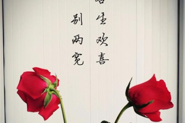 无心的诗句