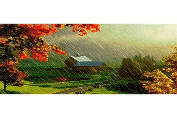 描写秋雨的诗句