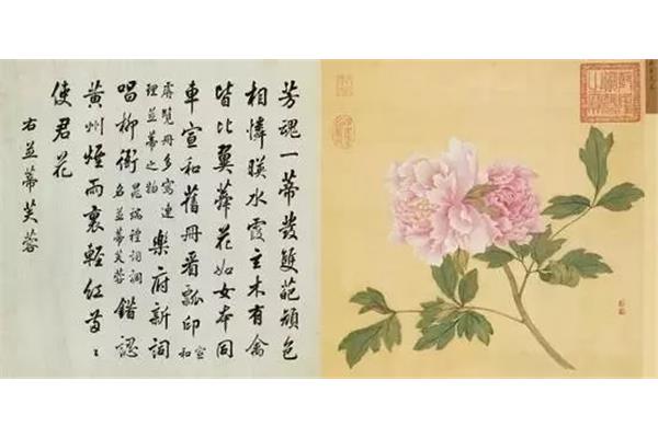 芙蓉的诗句