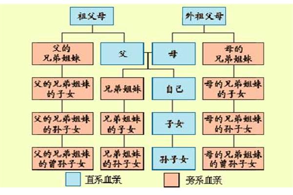 三代旁系血亲