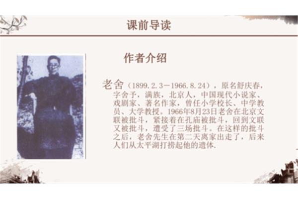 骆驼祥子作者介绍