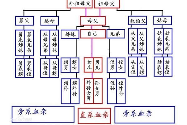 三代旁系血亲