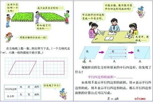 面积的定义