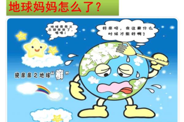 我的环保小搭档