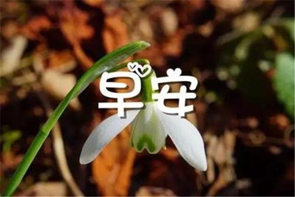 温暖的话语简短