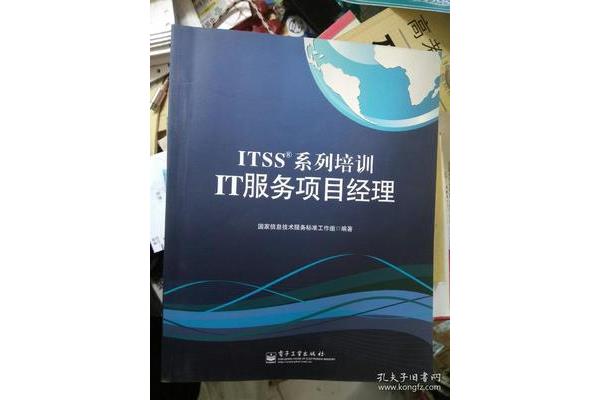 IT项目经理