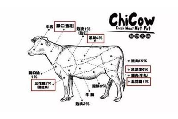 黄牛的英文