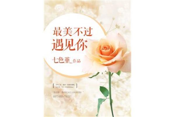 最美遇见你