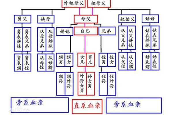 三代旁系血亲