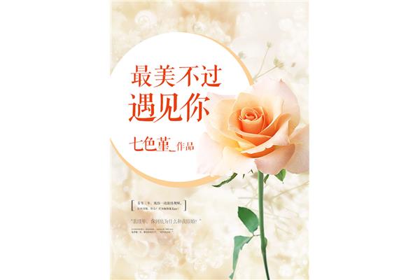 最美遇见你