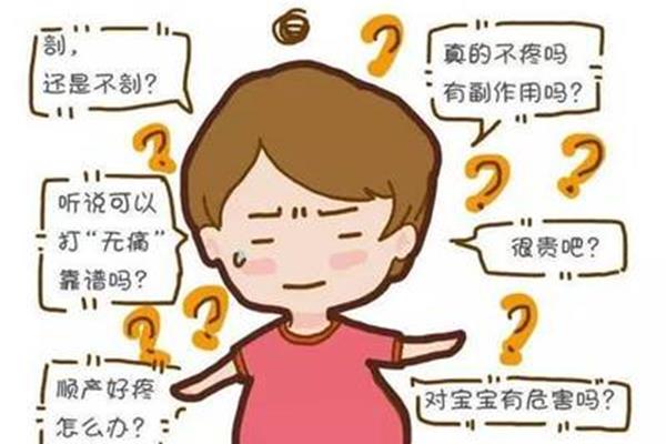 悲剧的意思