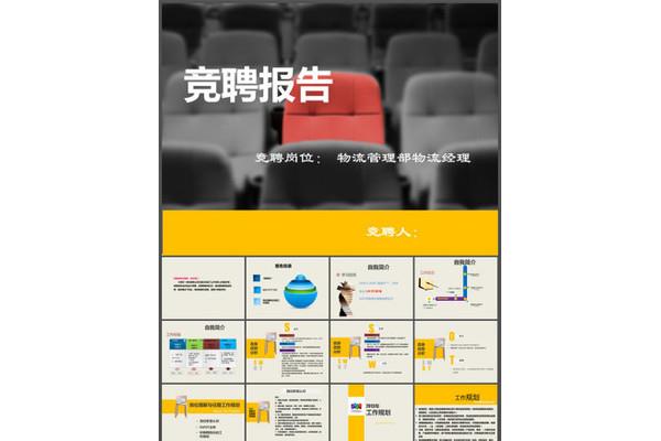 IT项目经理