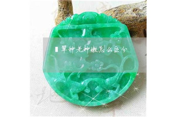 翡翠怎么分好坏