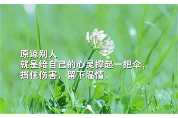 优美句子短句