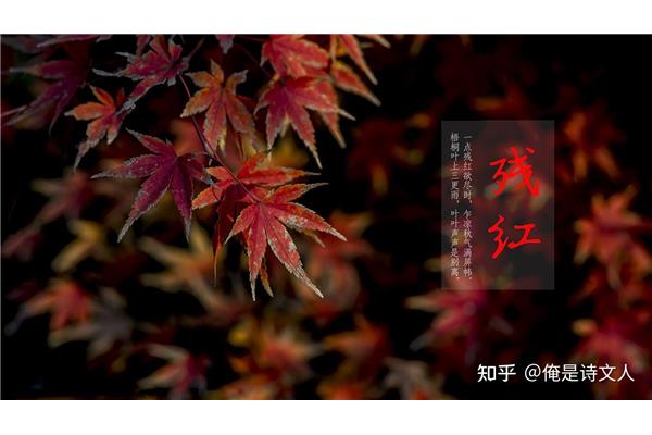 描写秋雨的诗句