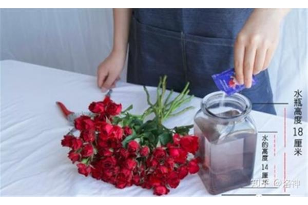 鲜花如何保鲜
