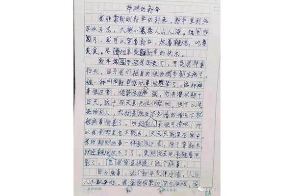 关于新年的作文