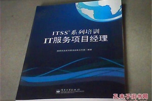 IT项目经理