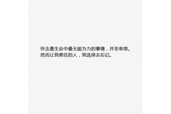 怀念青春的句子