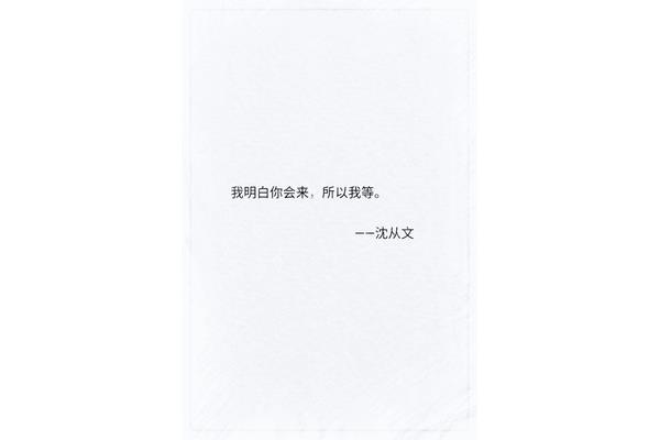 沈从文的经典语录