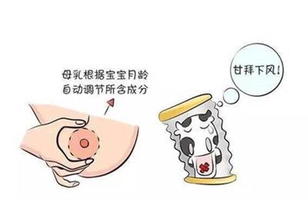 奶粉和母乳的区别