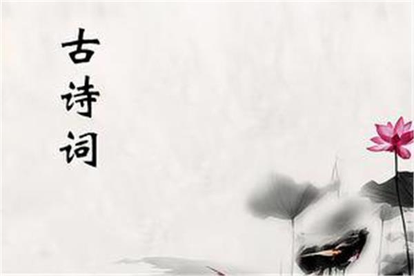 无心的诗句