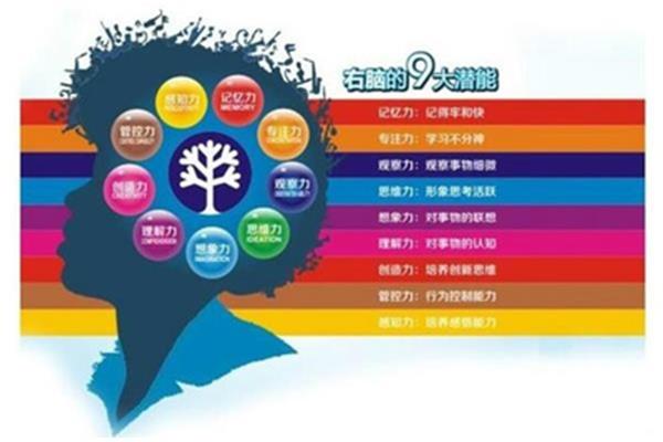 创新能力的培养