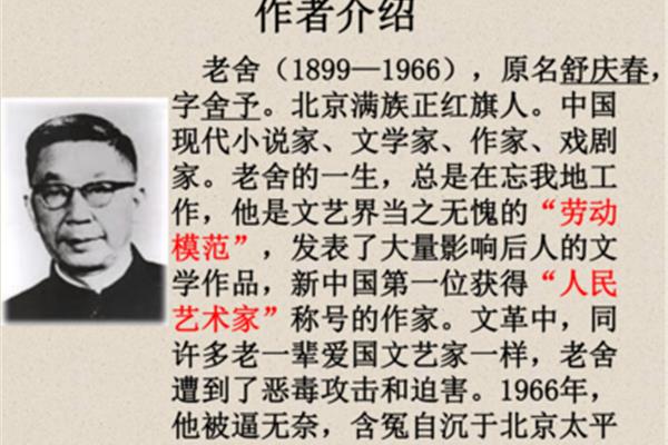 骆驼祥子作者介绍