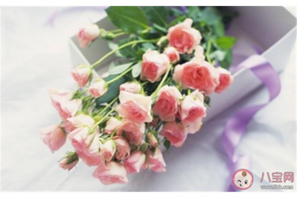 鲜花如何保鲜