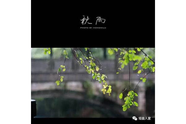 描写秋雨的诗句