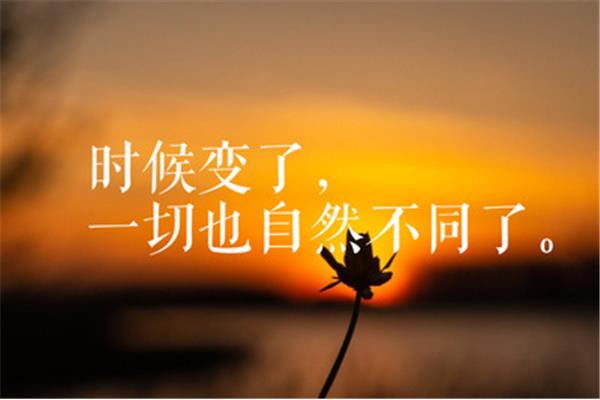 沈从文的经典语录