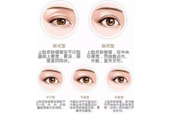 眉什么眼什么