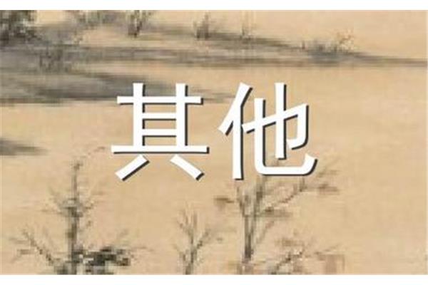 关于独立的名言