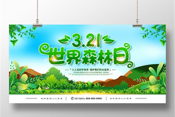 世界森林日