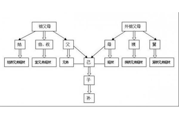 三代旁系血亲
